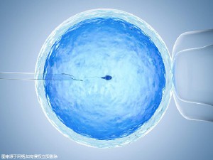 试管代妈公司代生生男孩